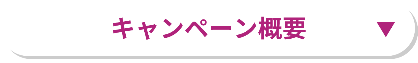 キャンペーン概要
