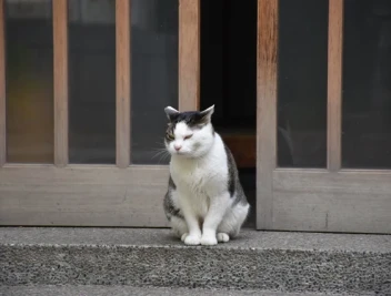 親の字の教えと生前戒名？ 認知症の父と古民家で笑う｜父と息子の漫才介護⑲