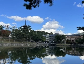 歴史や遺跡だけじゃない！　まほろばの奈良を再発見する旅！｜シニアと行きたい親子旅
