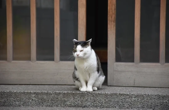 親の字の教えと生前戒名？ 認知症の父と古民家で笑う｜父と息子の漫才介護⑲