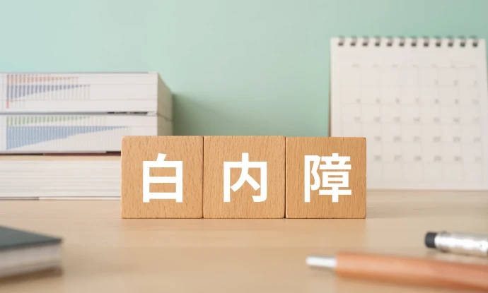 「後悔しない白内障手術」とは？ 眼科専門医が教えるレンズ選びと受けるタイミング