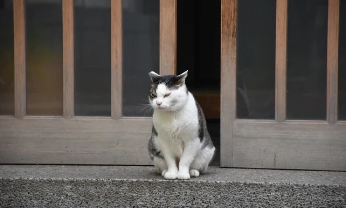 親の字の教えと生前戒名？ 認知症の父と古民家で笑う｜父と息子の漫才介護⑲