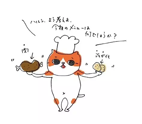 介護漫才ねこのイラスト１