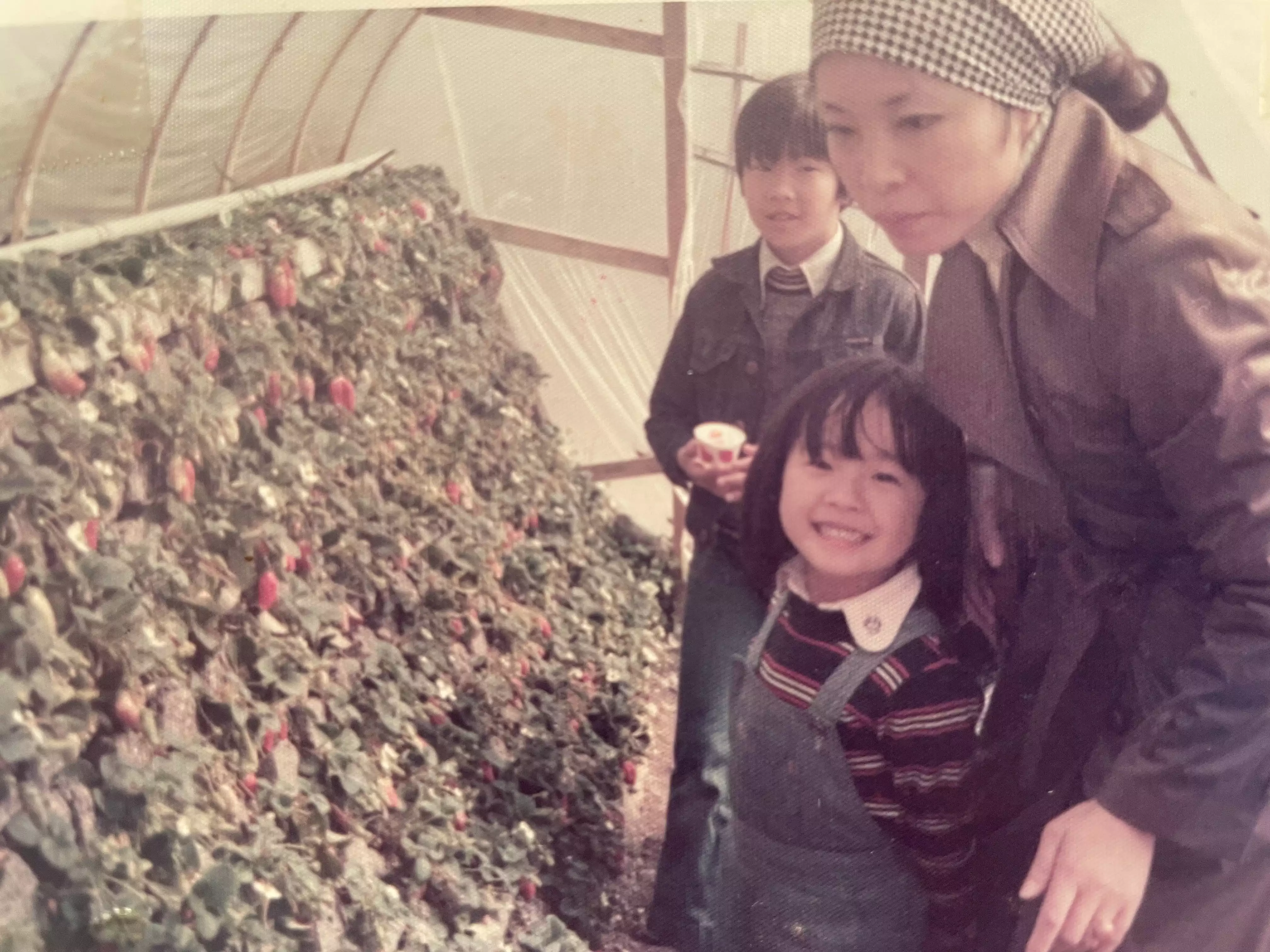 村井理子さん家族写真