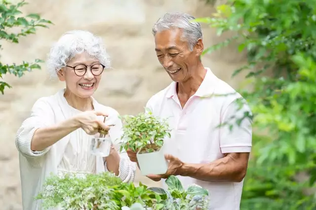 シニア夫婦