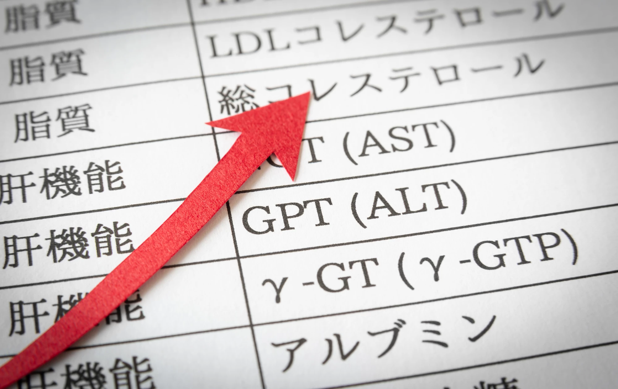 ごはんを食べる女性