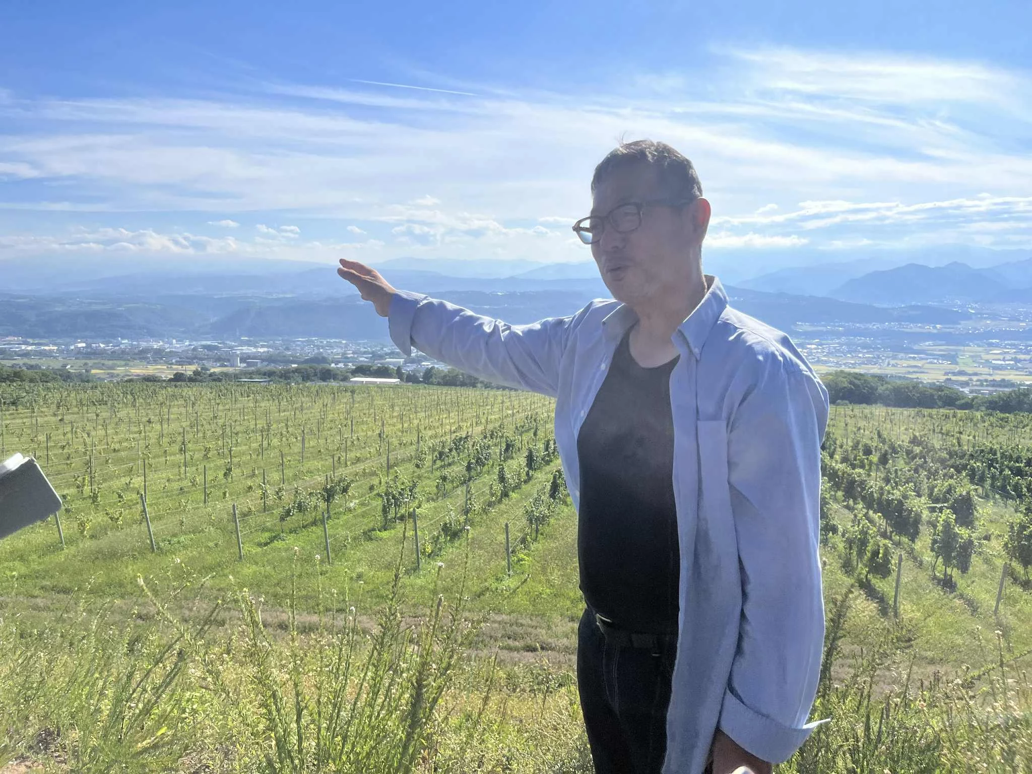 CAP1ぶどう畑.jpg 軽井沢のぶどう畑