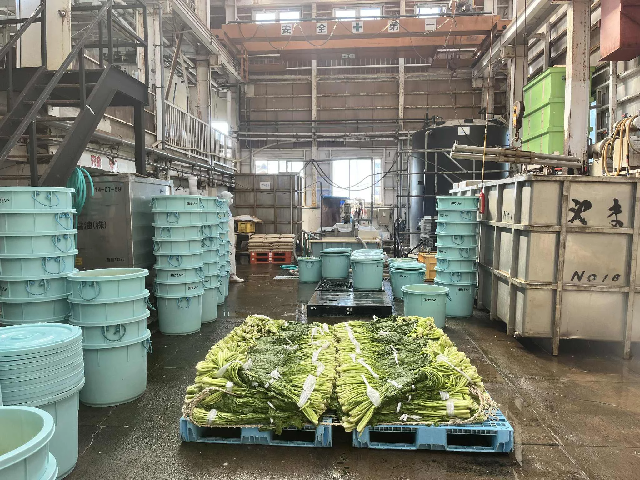 CAP2 野沢菜漬工場.jpg 軽井沢の野沢菜漬け工場