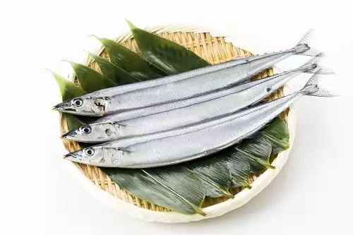 さんま