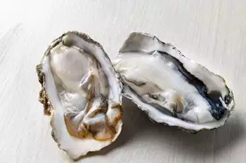 MySCUE記事　健康レシピ　牡蠣