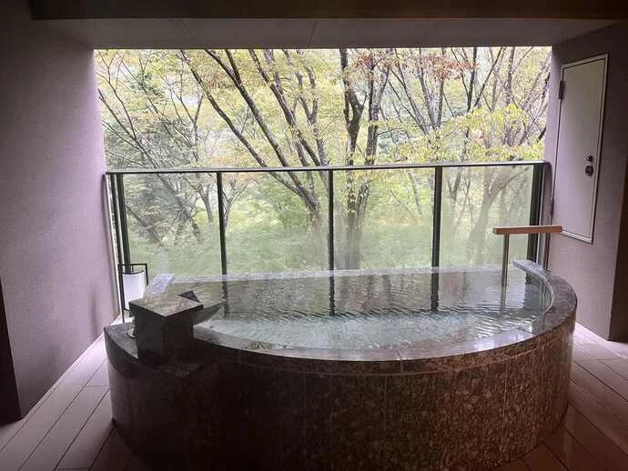 はつはな　客室温泉