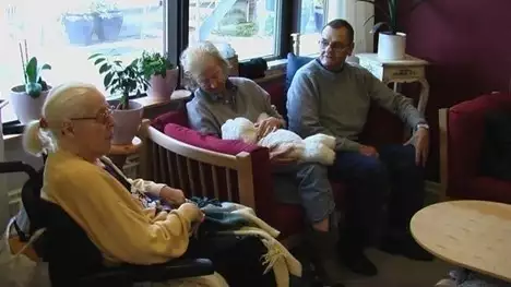 デンマークでのパロ