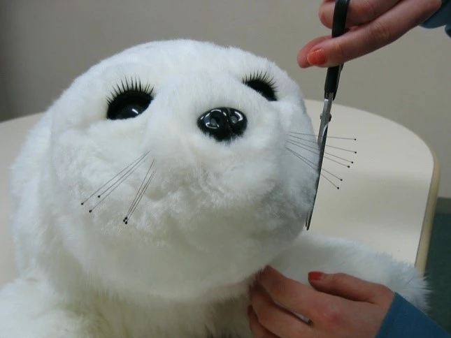 トリミングされるパロ