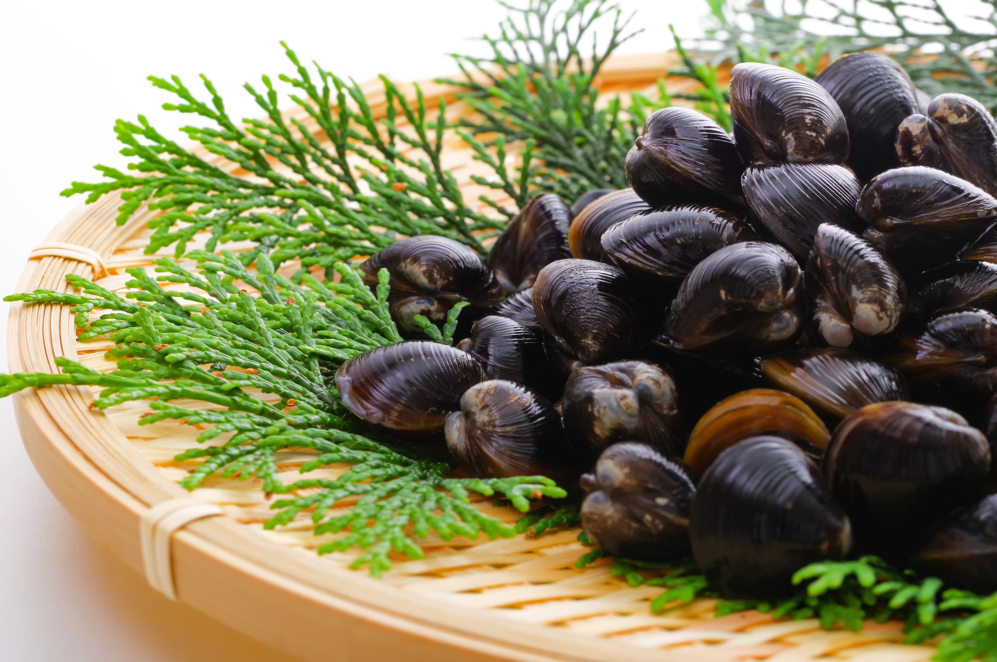 MySCUE記事　健康レシピ　オルニチン　しじみ