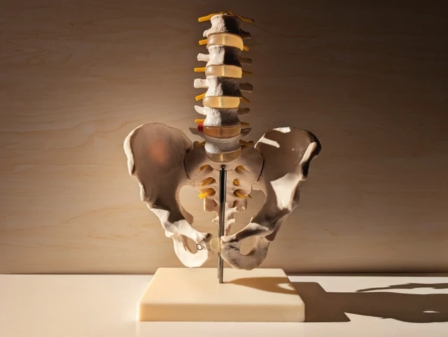 MySCUE記事　骨粗しょう症イメージ