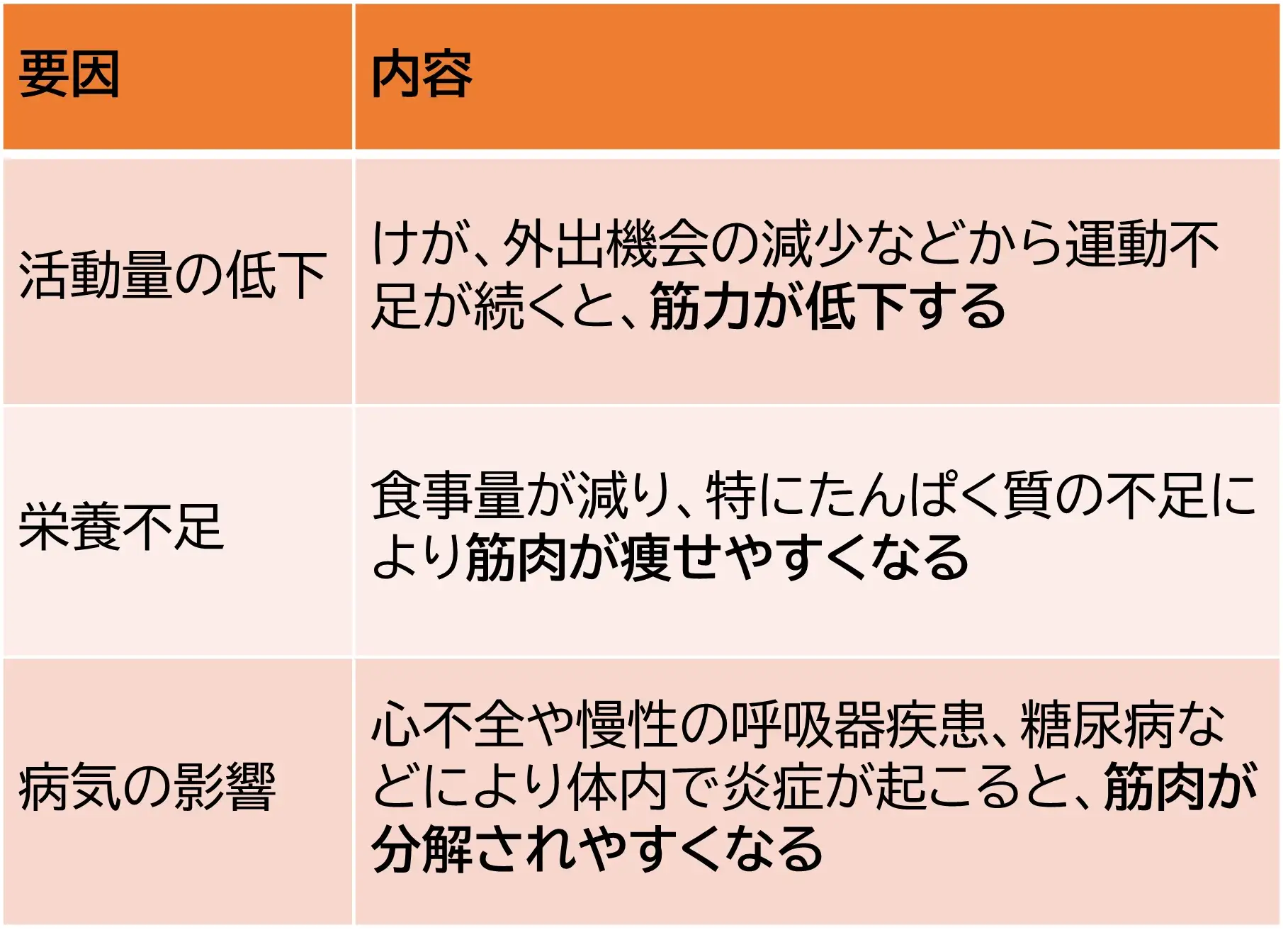 MySCUE記事　サルコペニア　要因