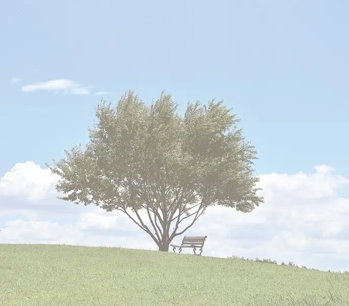 白内障チェック画像