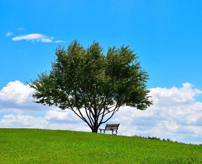 pixta_57979571.jpg 緑内障チェック画像