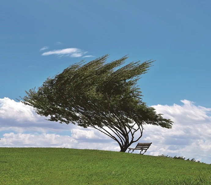 加齢黄斑変性のチェック画像