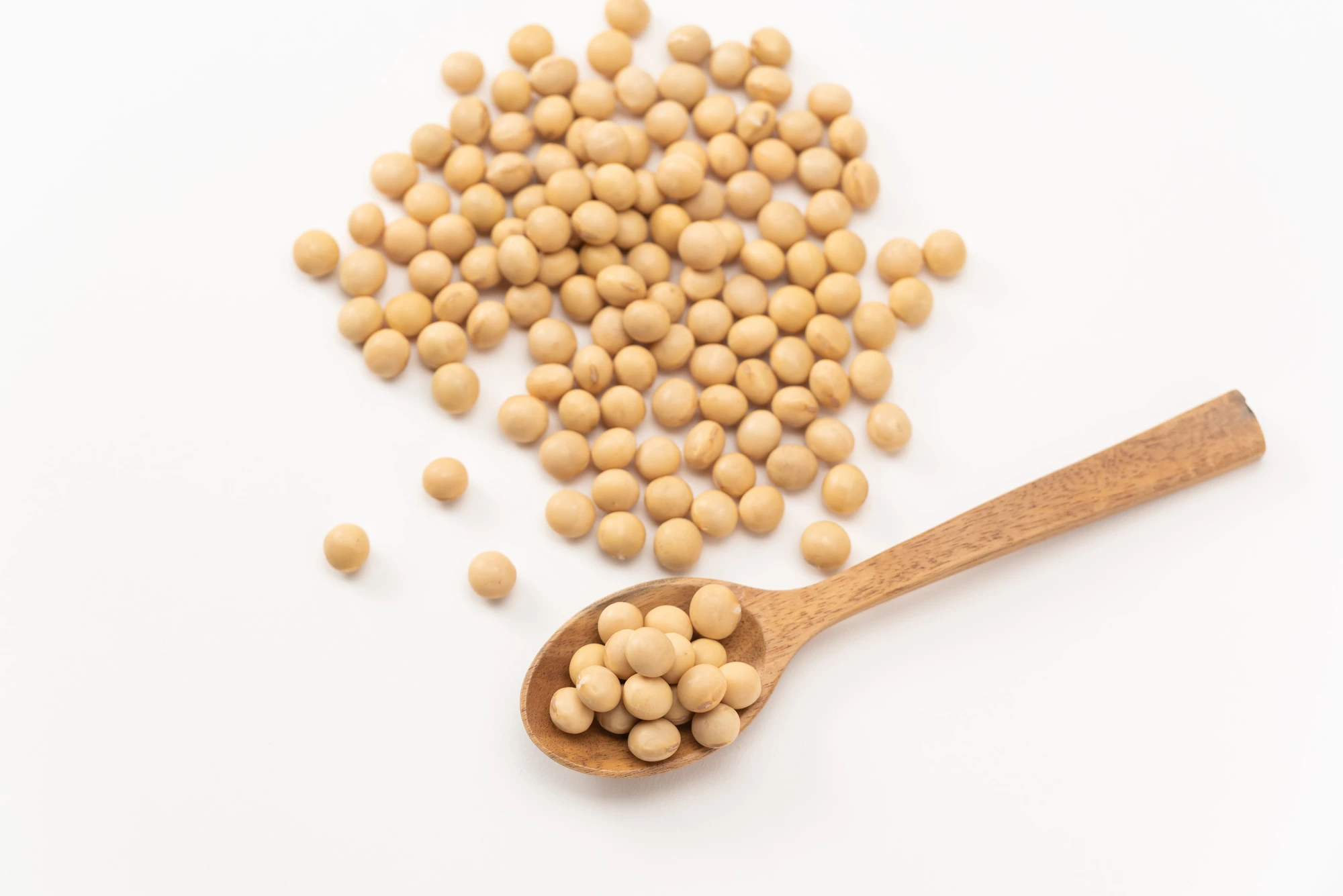 大豆のイメージ