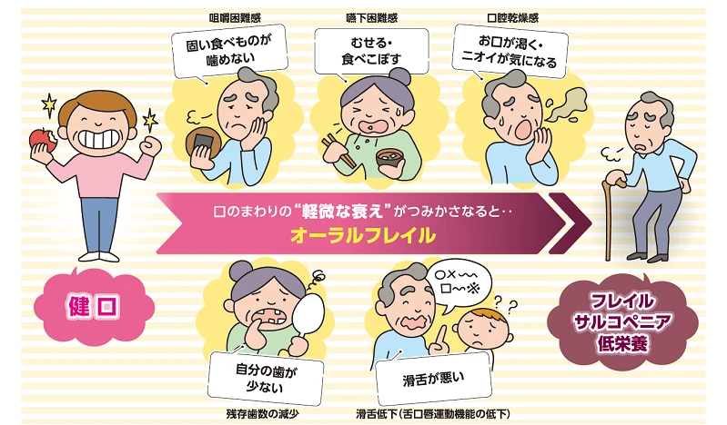 オーラルフレイル概念図