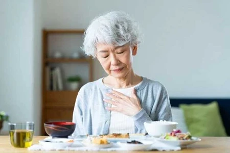 食欲不振のシニア