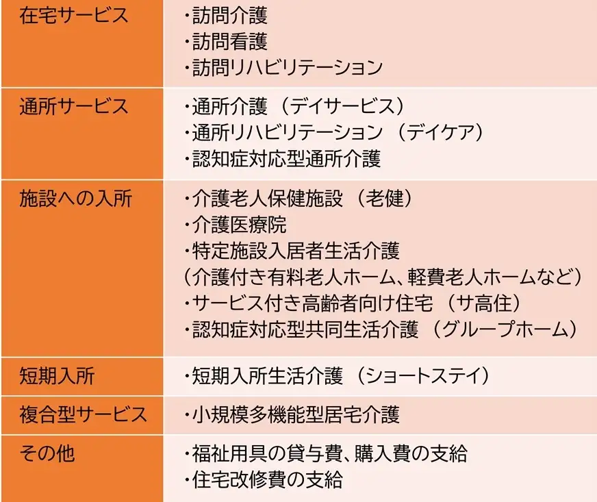 67ca46764f690.jpg 要介護1で利用できるサービス