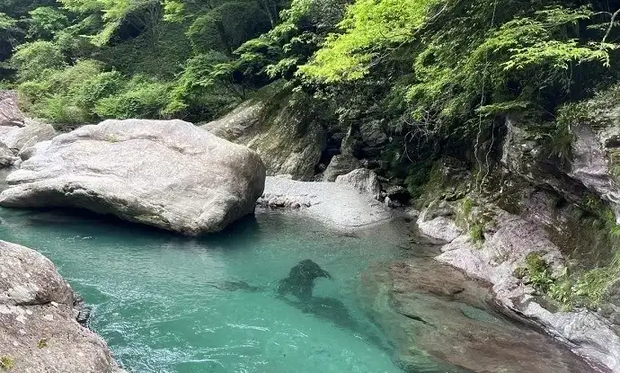 仁淀ブルー